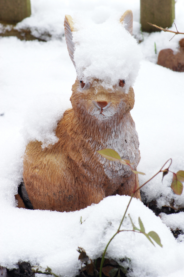 Schneehase Teil 2