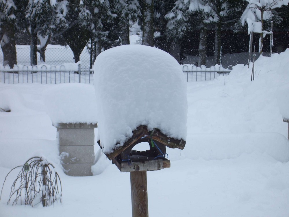 Schneehaube