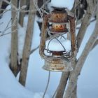 Schneehaube