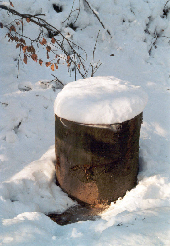 Schneehaube