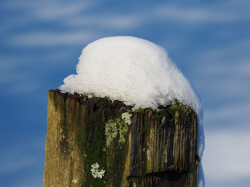 Schneehaube