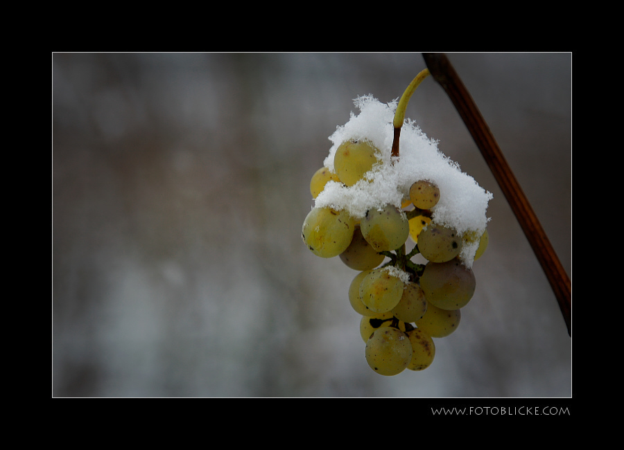 Schneehaube