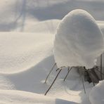 SCHNEEHAUBE AUF STELZEN