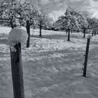 Schneehaube