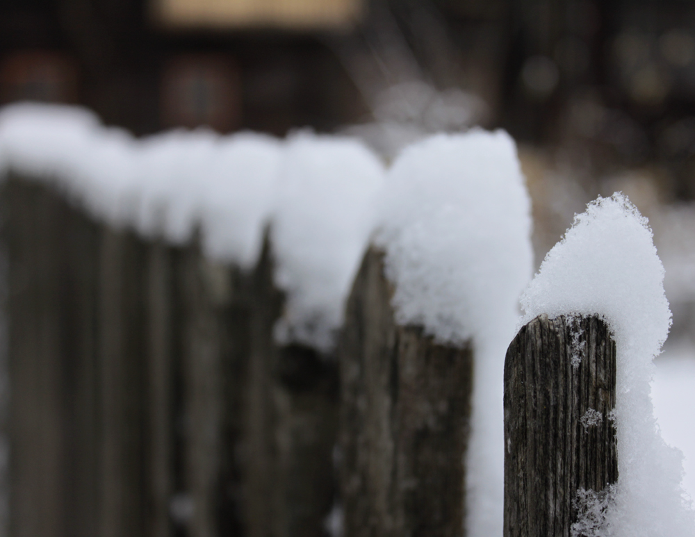 Schneehaube