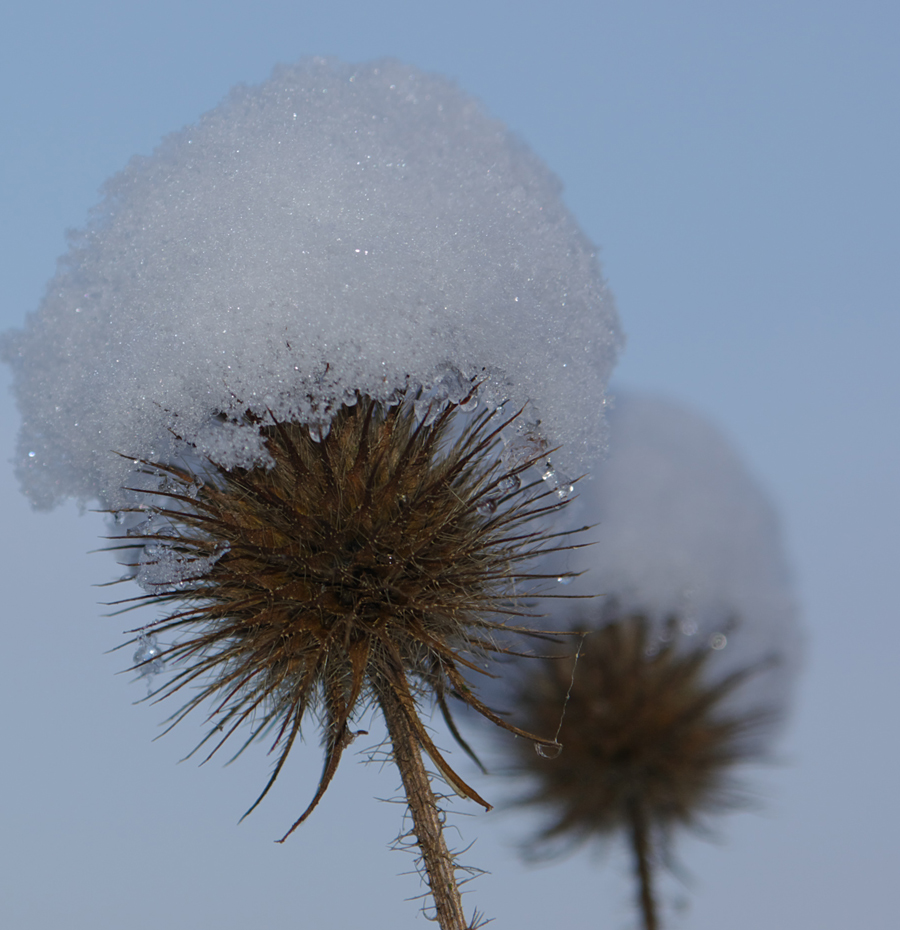 Schneehauben