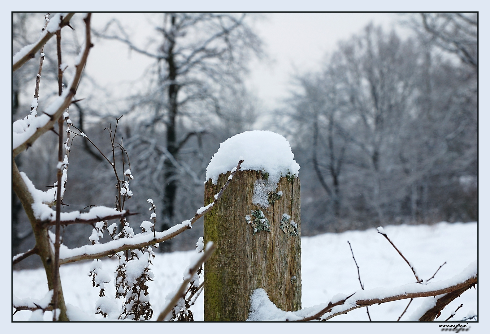 Schneehauben...