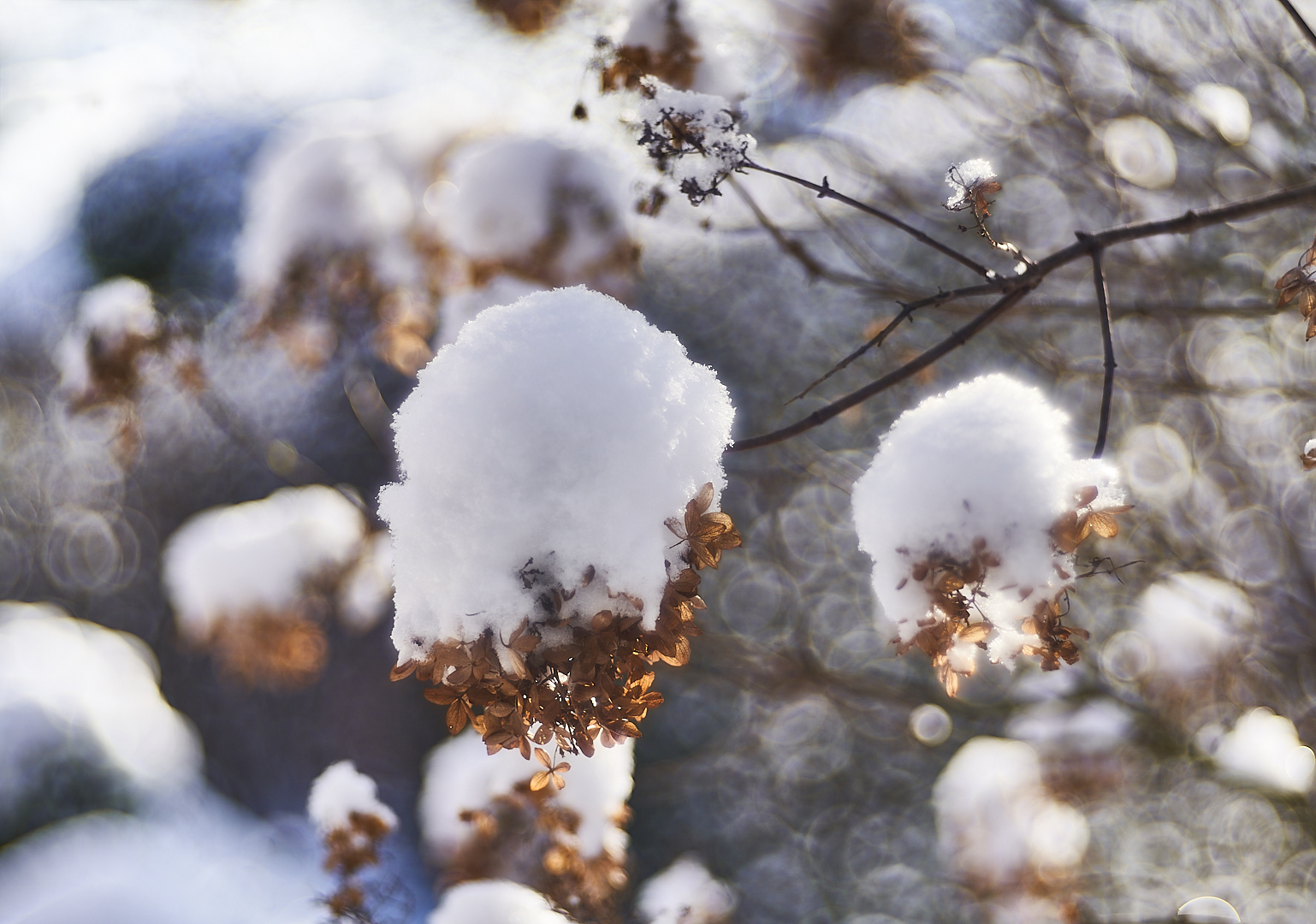 Schneehauben