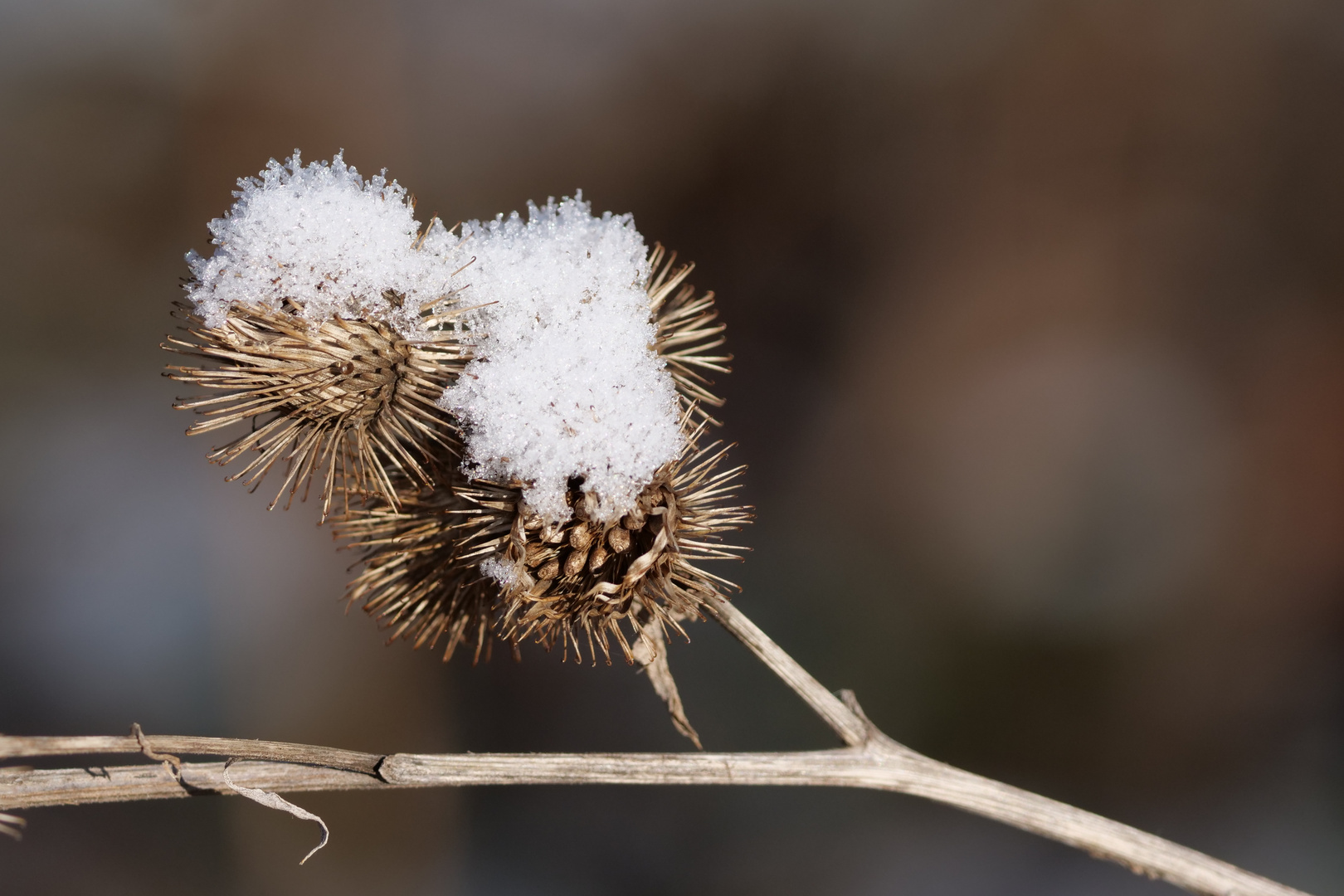 Schneehauben