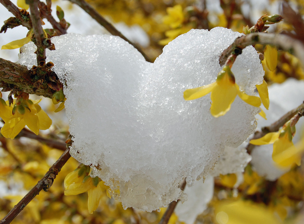 Schneeherz von FlorentinaSG 