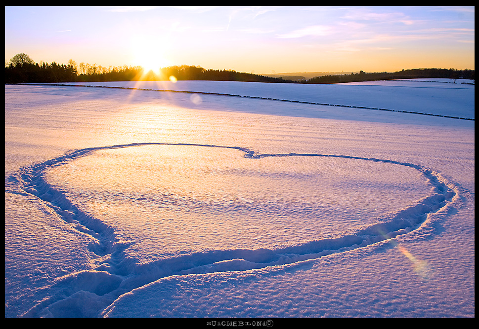 Schneeherz