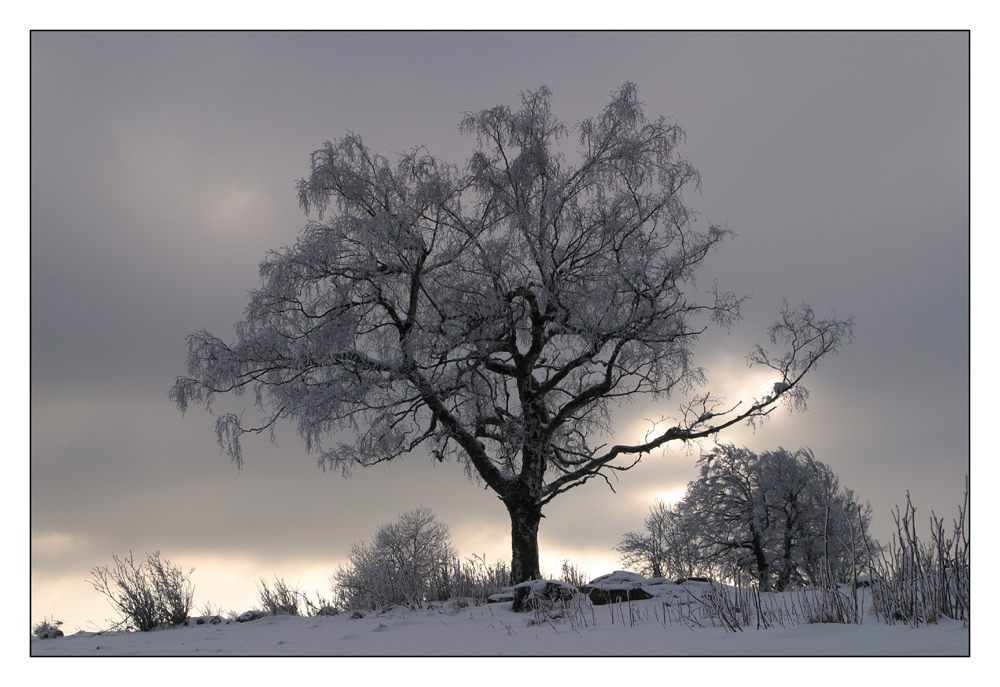 Schneehimmel