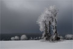 Schneehimmel