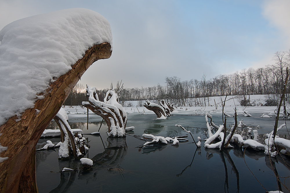 Schneehöhen