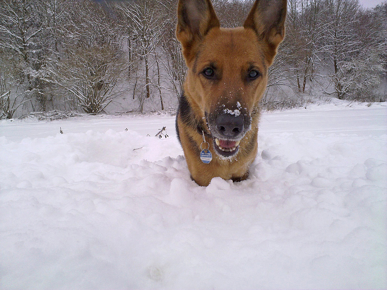 Schneehöhenmessung