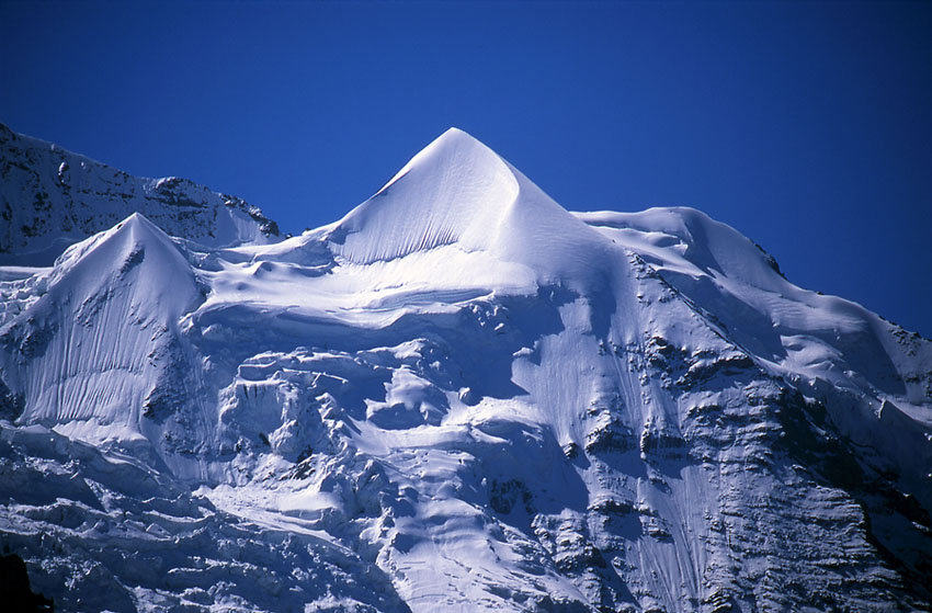 Schneehorn und Silberhorn vor Jungfrau