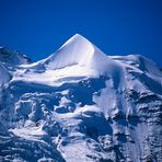 Schneehorn und Silberhorn vor Jungfrau
