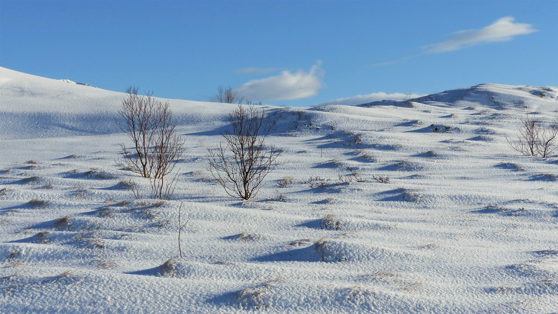 Schneehügel