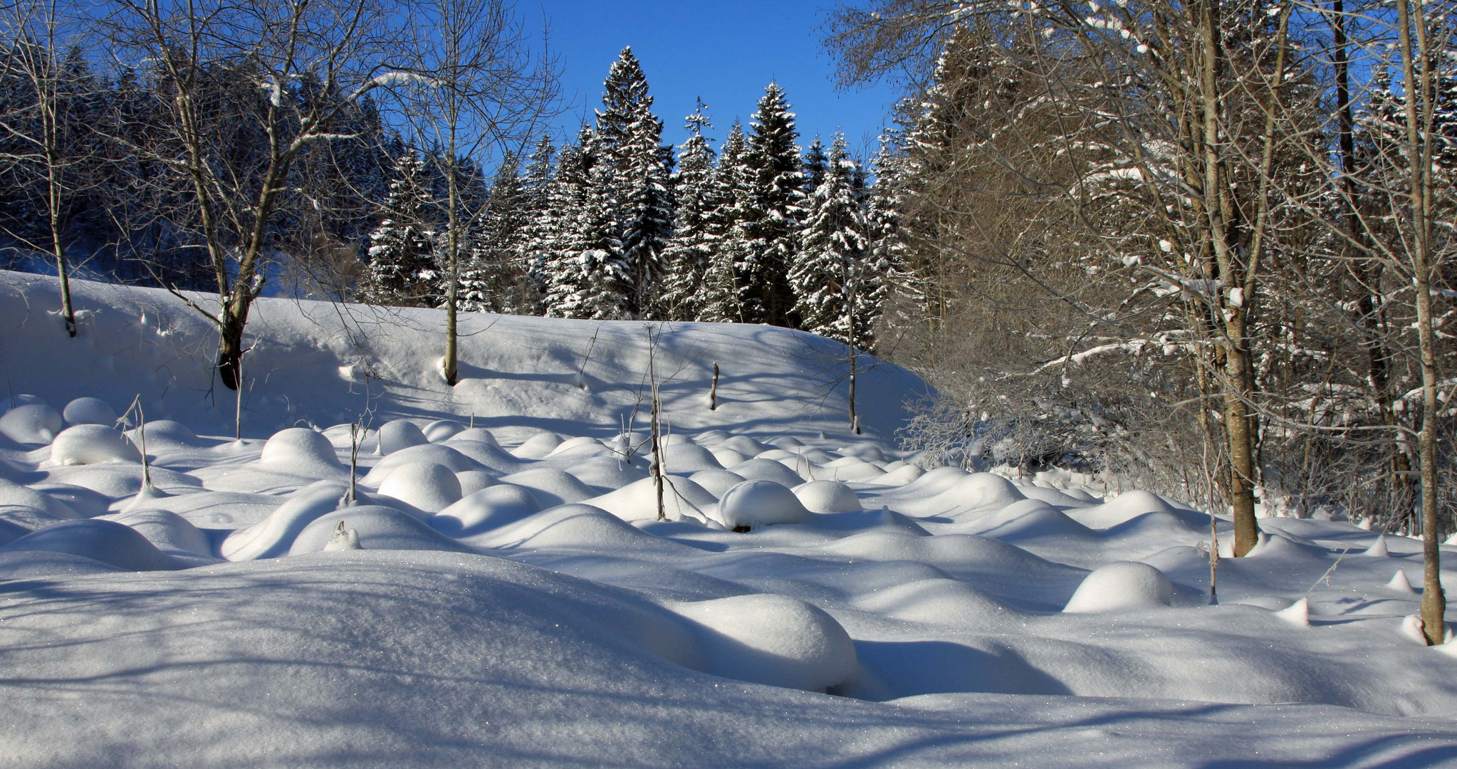 Schneehügel?