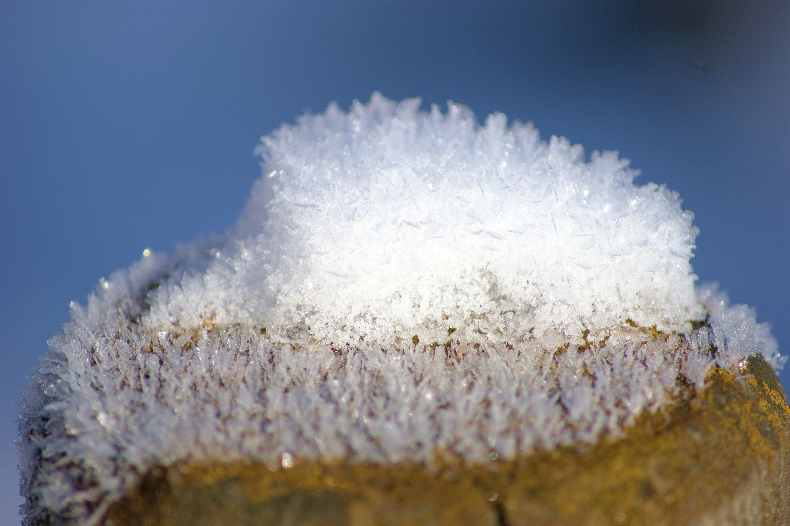 Schneehütchen