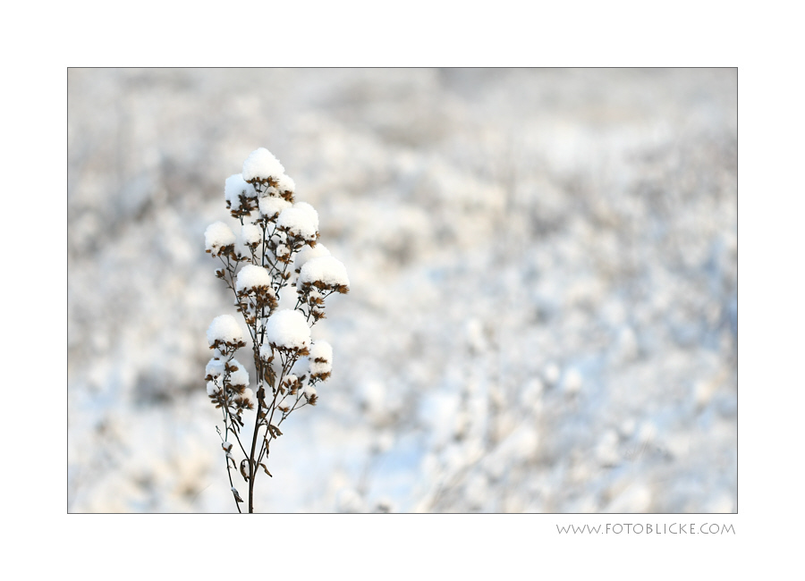 SchneeHüte