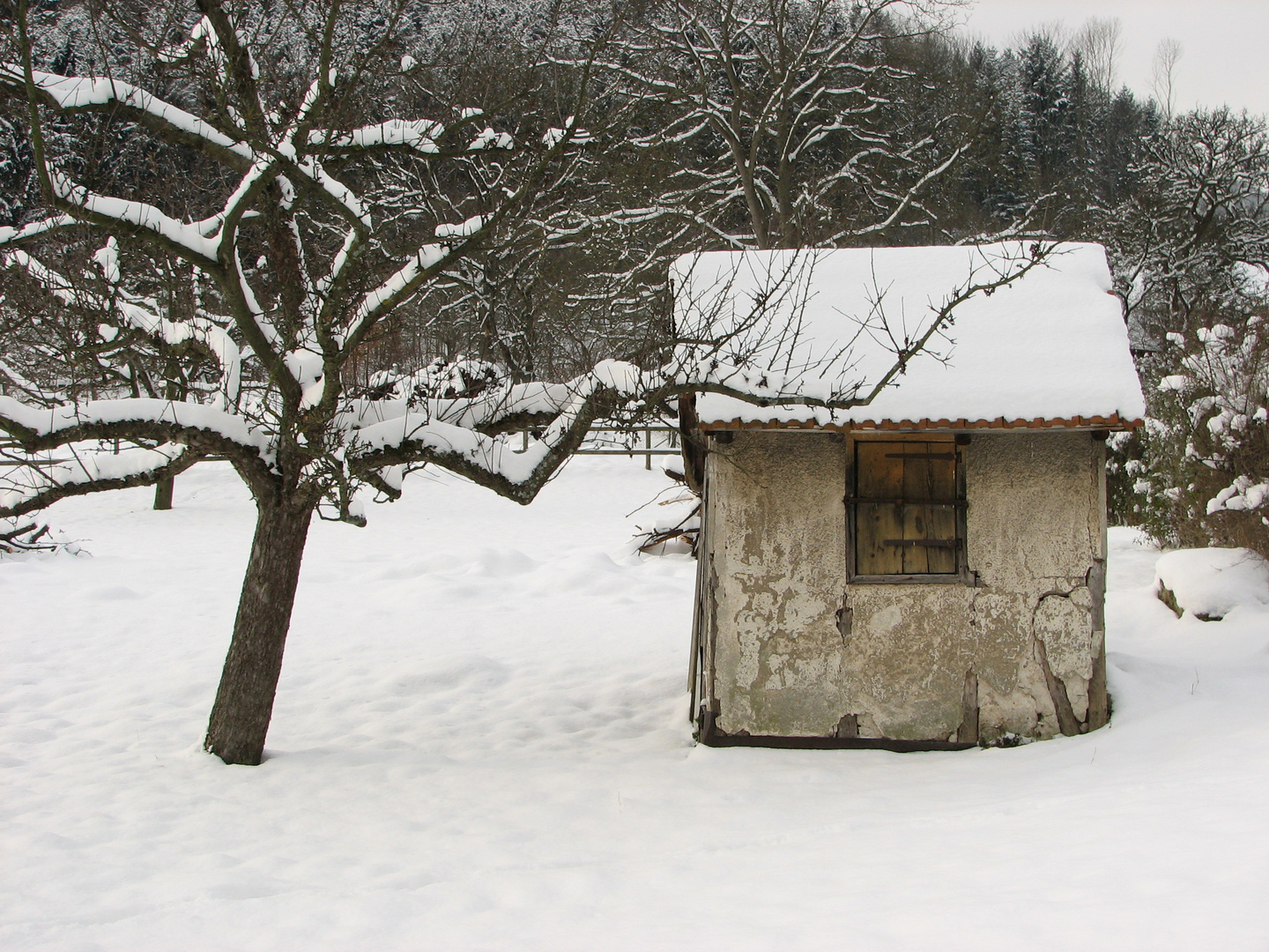 Schneehütte