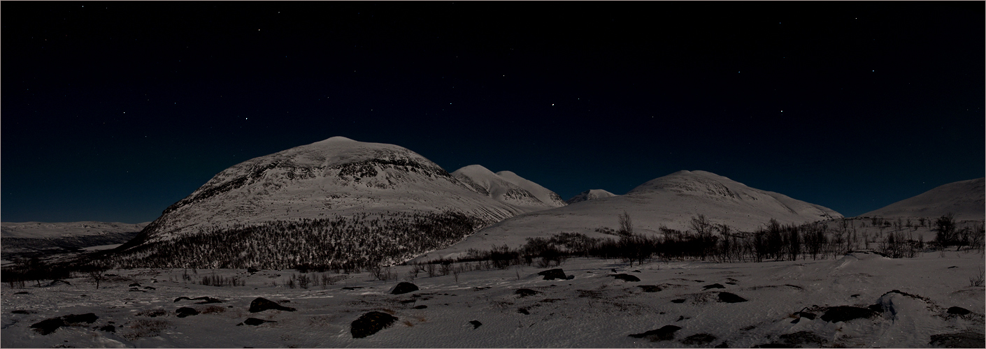 Schneehuhns polares Nachtpanorama