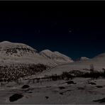 Schneehuhns polares Nachtpanorama