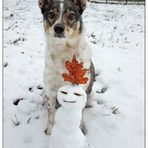 Schneehund