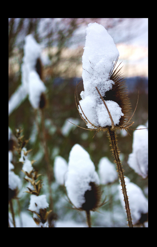 Schneehut