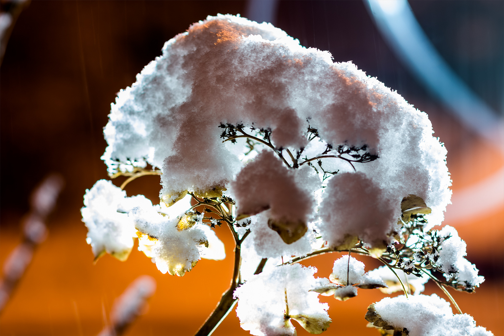 Schneekäppchen