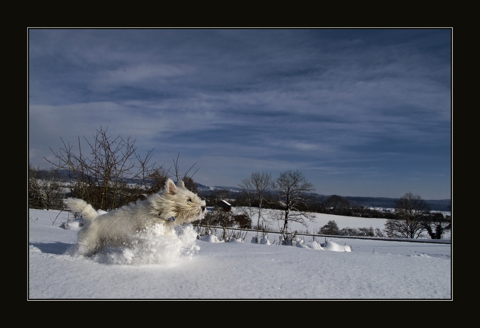 Schneekampf