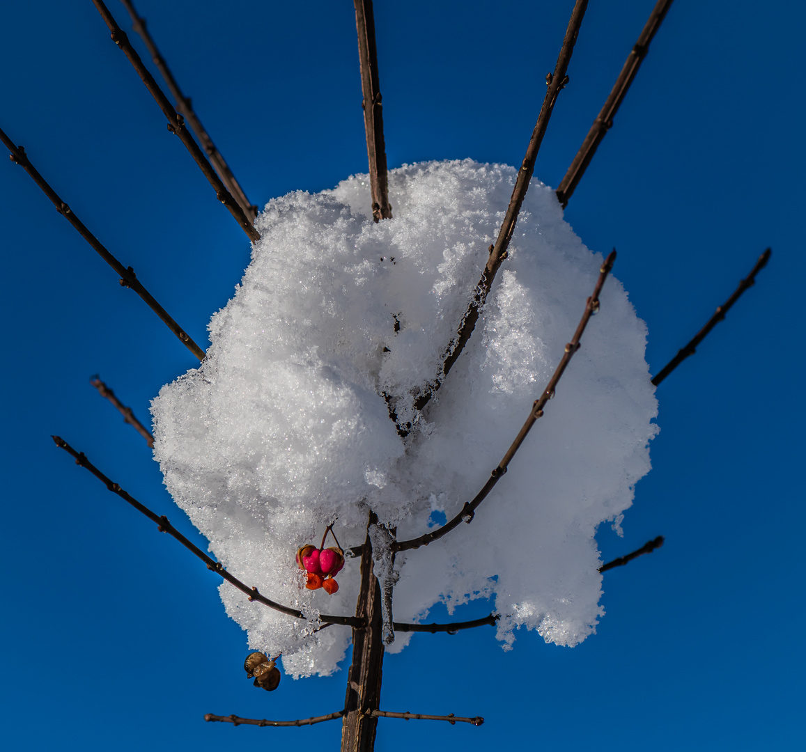 Schneekappe