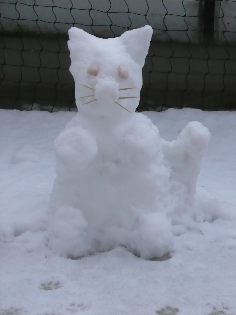 Schneekatze