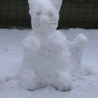 Schneekatze