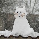 Schneekatze