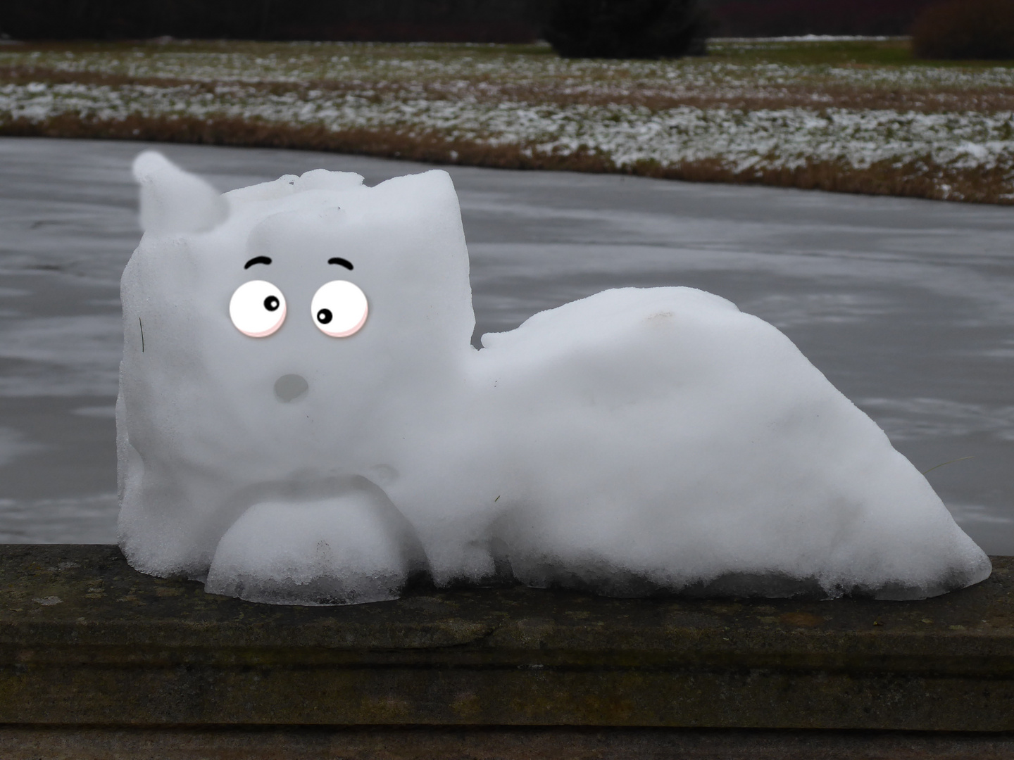 Schneekatze