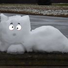 Schneekatze