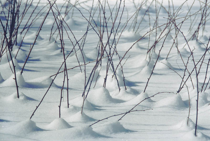 Schneekegel in Muskoka