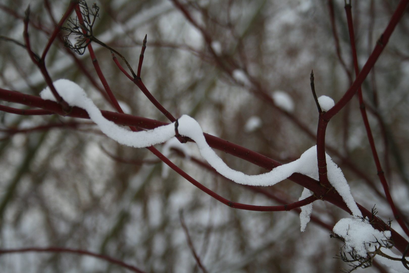 Schneekette