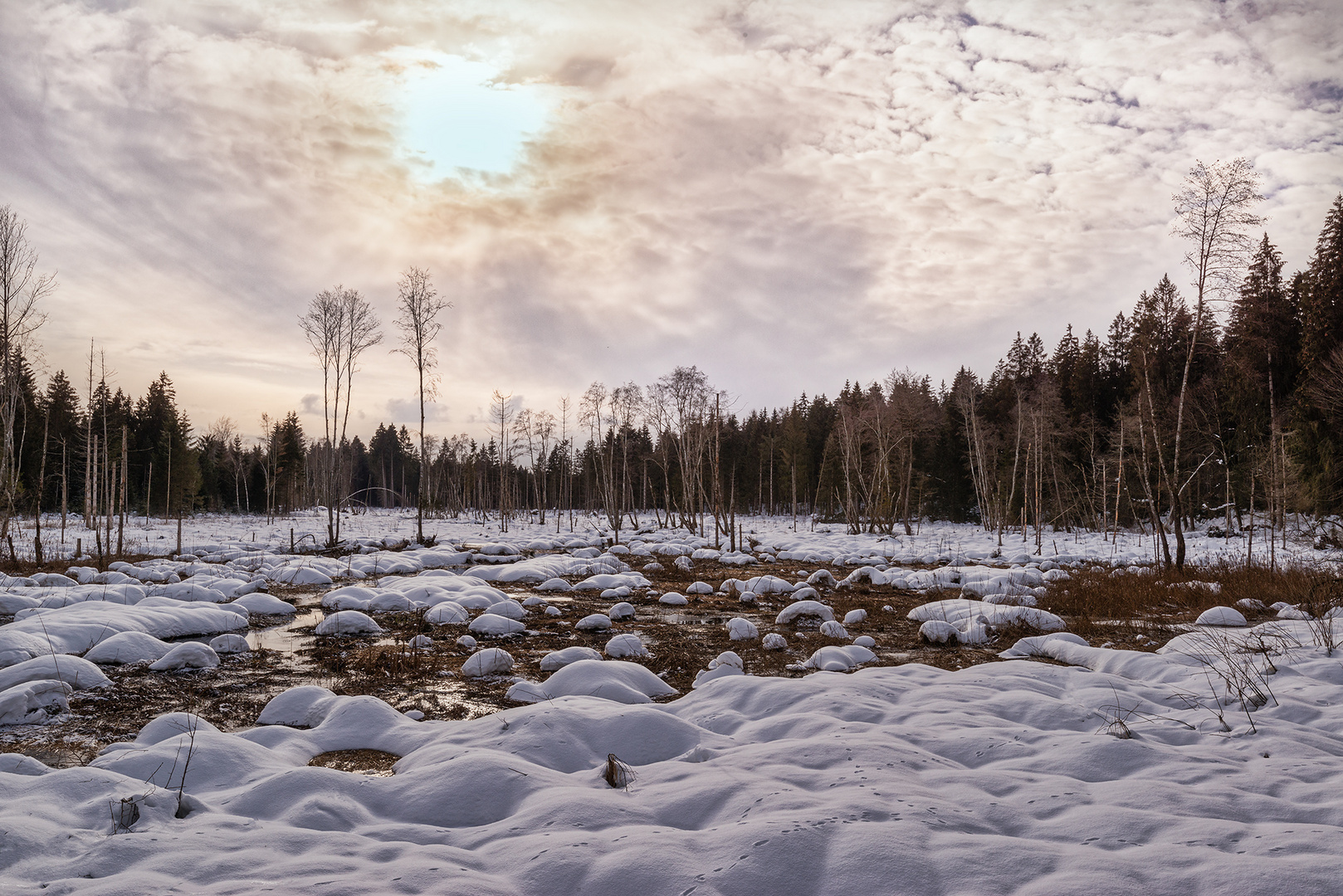 Schneekissen