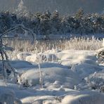 SCHNEEKISSEN IM LOISACHTAL