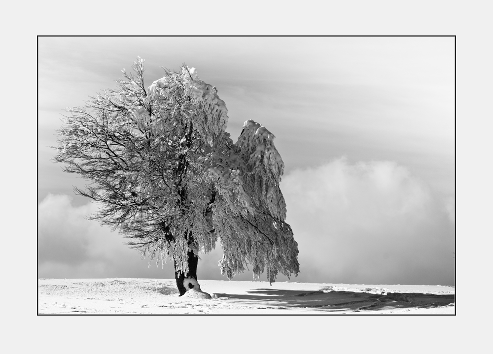 Schneekleid