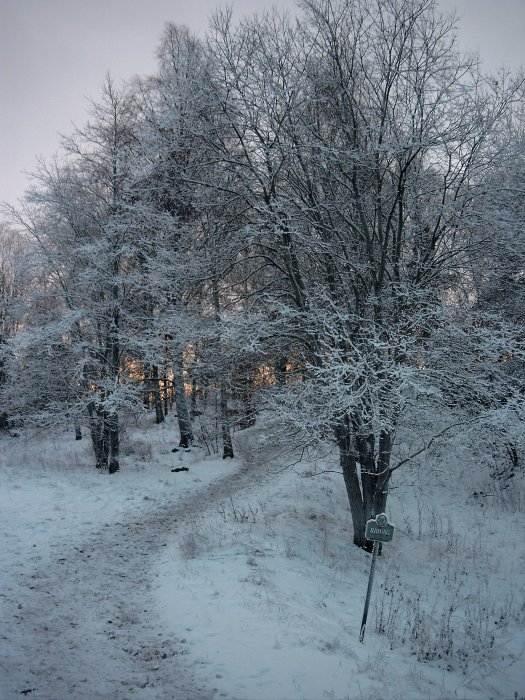 Schneekleid, Stockholm, Schweden