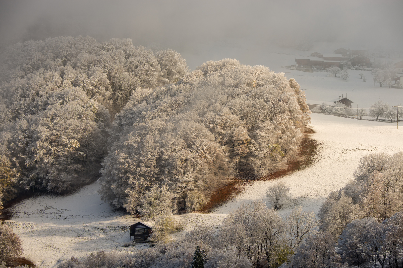 Schneeknäuel