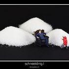 schneekönig I