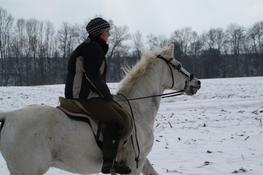 Schneekönigin