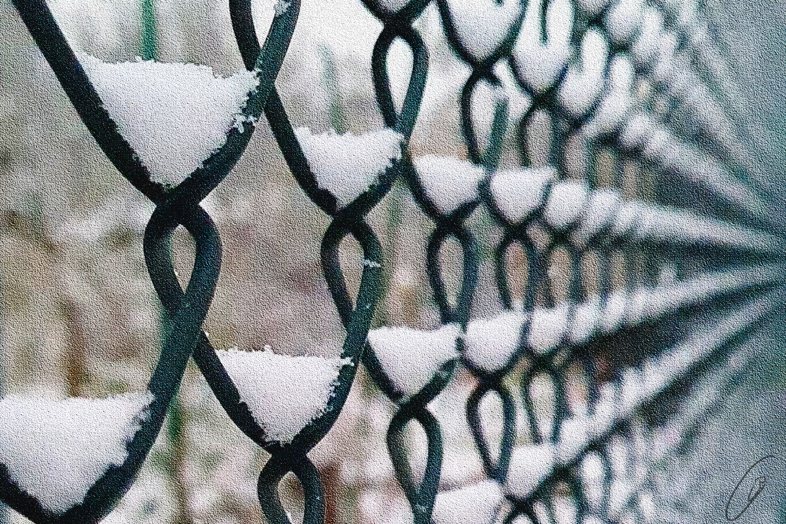 Schneekörbchen