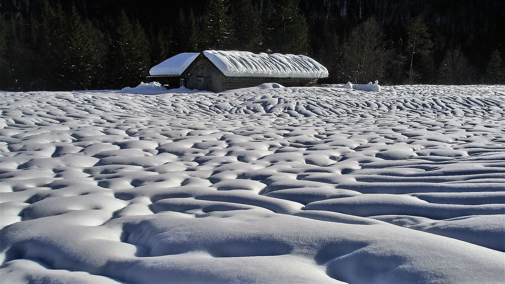 Schneekontraste