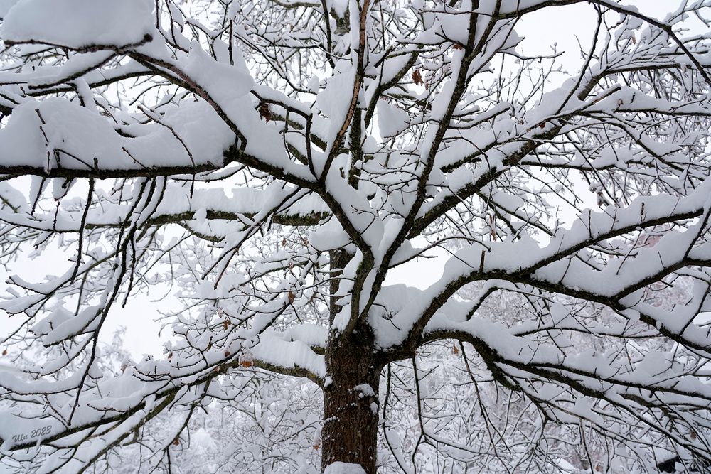 Schneekonturen...